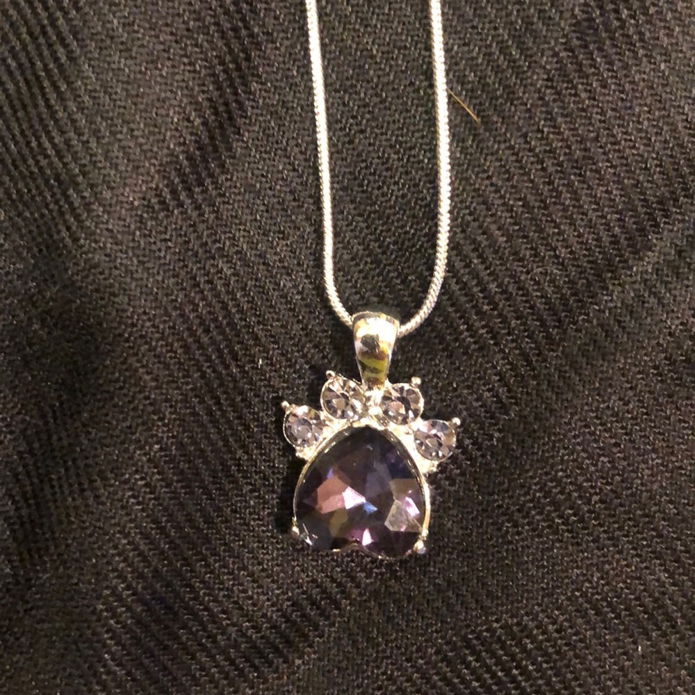 February birthstone paw necklace